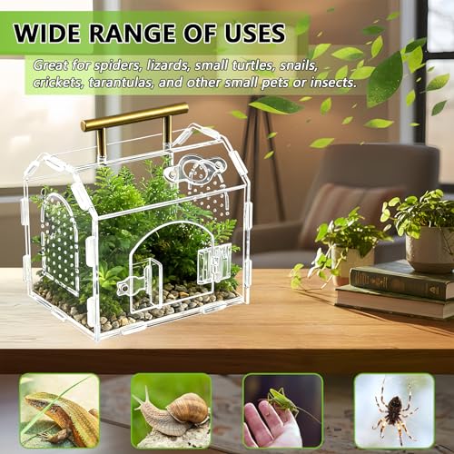 5.9" Acrylic Spider Enclosure, Clear Habitat with Magnetic Door | Clear acrylic habitat with magnetic feeding door and ventilation holes for jumping spiders tarantulas and small invertebrates - size: Handle House Acrylic Terrarium