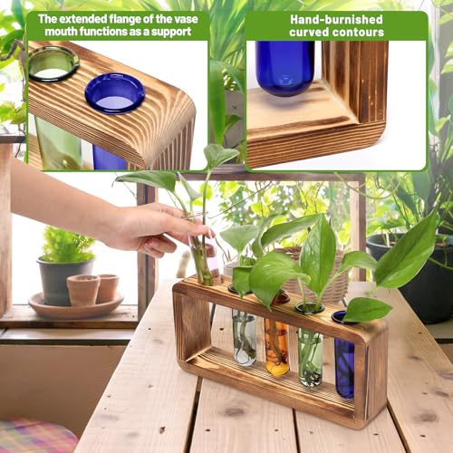 Glass Plant Propagation Station with 5 Test Tubes Colorful Planter Vase | Birthday Gifts for Women in Wooden Stand - color: Color-01