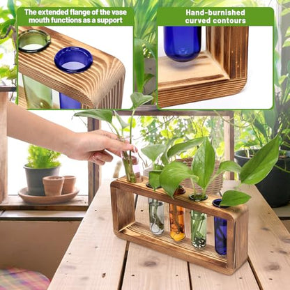 Glass Plant Propagation Station with 5 Test Tubes Colorful Planter Vase | Birthday Gifts for Women in Wooden Stand - color: Color-01