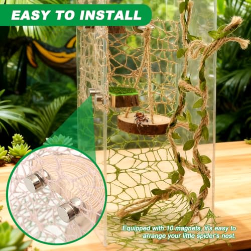 Jumping Spider Habitat Decor Set, 7-Piece Enclosure Climbing Kit | Includes 2 glitter webs, 3 wood platforms, 1 swing, and 1 rope bridge for climbing, resting, and styling enclosures