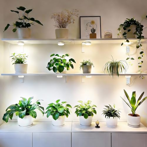 SANSI 20W(5W*4) Puck Grow Lights for Indoor Plants Full Spectrum, 4 Head Plant Lights for Indoor Growing, LED Plant Lamp for Growth with Timer, Auto On Off 4 8 12 Hrs Greenhouse,No Dimmable - size: Puck Grow Light with Separate Timer