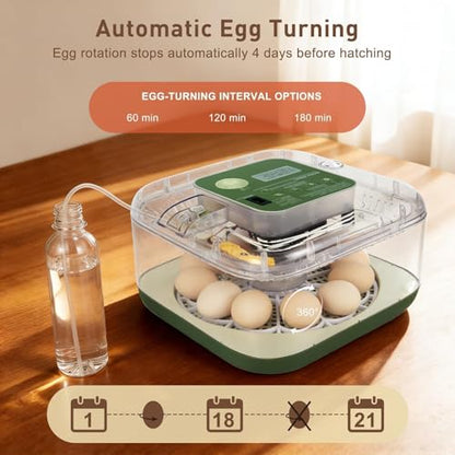Series IV - 12 Egg Fully Automatic Incubator, Low Maintenance, Intelligent Sensor-Based Precise Humidity & Temp Control, Custom-Interval Auto Turn & Auto Stop, Preset Incubation Days, Candler, Alarms - size: New 12-Egg Green