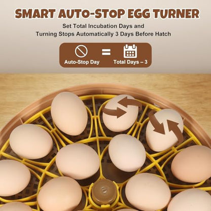Nest III - 18 Egg Incubator for Hobbyists, Dual-Size Egg Trays, Multi-Level Adaptive Humidity & Temp Control, Custom Incubation Days, Auto Turning & Auto Stop, Integrated Digital Display, Candler - size: 18 Egg [Brown Hen]