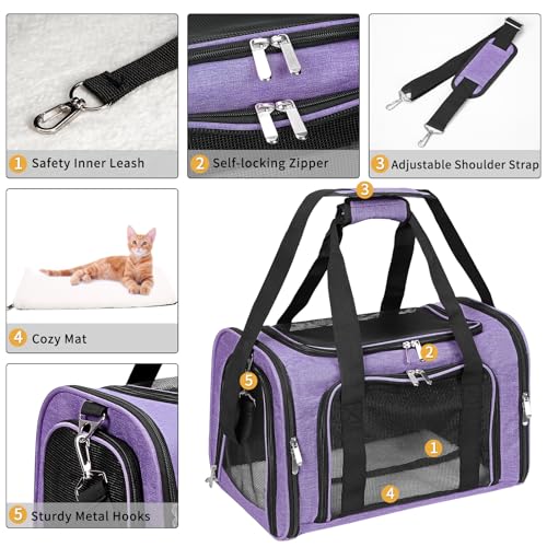 Soft-Sided Cat/Dog/Pet Carrier, Collapsible Pets Travel Carriers | For Big Cats/Small Dogs with Shoulder Strap & Removable Mat, Mesh Puppy Carry Bag, Up to 25 Lbs, TSA Airline Approved(Purple) - color: Purple, size: 20"L x 13"W x 13"H