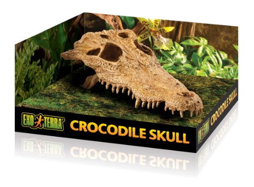 Exo Terra Crocodile Skull Terrarium D - style: Crocodile