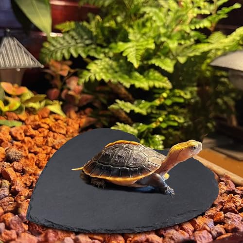 Reptile Basking Platform, 12 × 12 inch Tortoise Rock Plate, Heart Shape Natural Rock Reptile Food Dish, Turtle Feeding Bowl, Habitat Decor for Bearded Dragon Chameleon Frog Lizard Gecko Hermit Crab - size: L - 12 × 12 inch