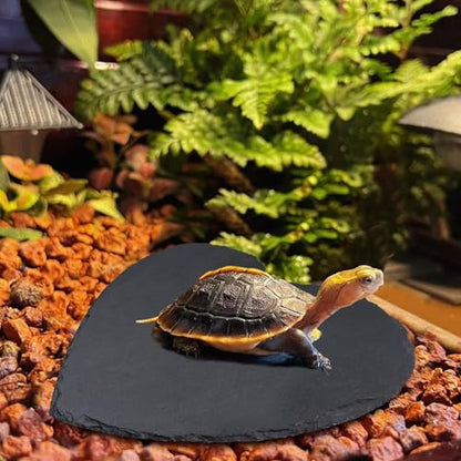 Reptile Basking Platform, 12 × 12 inch Tortoise Rock Plate, Heart Shape Natural Rock Reptile Food Dish, Turtle Feeding Bowl, Habitat Decor for Bearded Dragon Chameleon Frog Lizard Gecko Hermit Crab - size: L - 12 × 12 inch