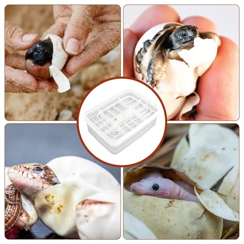 Reptile Egg Incubator Box Incubation Box Hatching Case Hatching Tray | 16 Grids Transparent Reptile Incubator for Snake Lizard Turtle Gecko Chameleon Bearded Dragon Leopard Gecko Egg Incubation - color: B