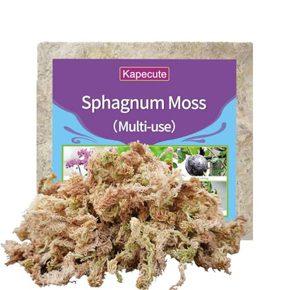 5oz Sphagnum Moss for Plant Propagation, Great Orchid Potting Mix, Help with Maintain Humidity - size: 5oz