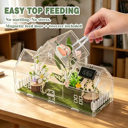 23-in-1 Jumping Spider Enclosure Kit, Acrylic Tarantula Terrarium with Full Accessories & Decor Set, Complete Small Habitat for Praying Mantis Insect Reptile, 11.8"x4.5"x8"