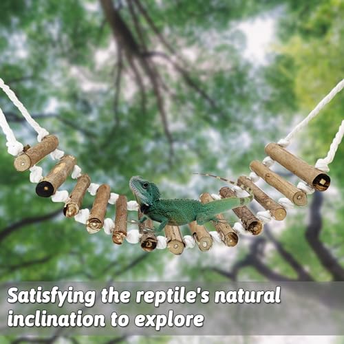 VCEPJH Reptile Bridge for Terrarium 2 Pack Wooden Bearded Dragon Climbing Ladder Hanging Flexible Swing Tank Deor Accessories for Gecko Hermit Crab Chameleons Turtle Lizard Frog