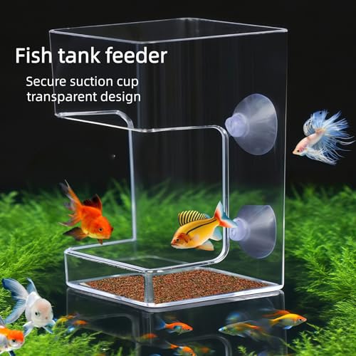 2pcs Fish Feeder for Aquarium Suction Cup, Plastic Transparent Round & Square Suction-Cup Feeding Tubes,Tank Divider Supplies Aquarium Accessories