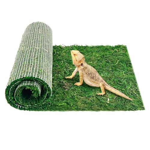 Reptile Carpet Cuttable Terrarium Mat Artificial Moss Reptile Liner Green Substrate Flooring Bearded Dragon Tank Accessories for Leopard Gecko Lizard Snake Tortoise (11.81" x 70.87") - size: 12" x 71"