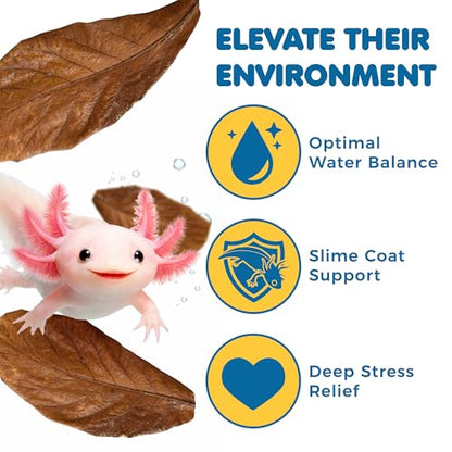 SunGrow 10 Pack Axolotl Indian Almond Leaves for Aquarium, 5-Inches, Catappa Leaf Soothes Pet’s Slime Skin, Aquarium Water Conditioner Leaves Improves Tank Water Quality, Speeds Up Recovery Process - style: Medium (5")