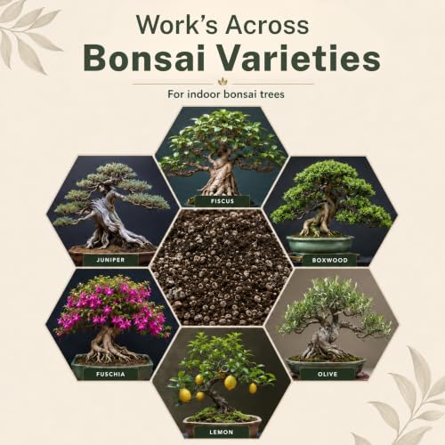 Agralife Bonsai Soil 4 Quarts Premium Organic Mix for Indoor Trees | Fast drainage. Healthy roots. Premium organic soil balances moisture and airflow for thriving indoor bonsai tree varieties. - style: Bonsai Plant Soil Mix