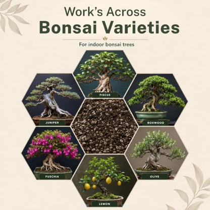 Agralife Bonsai Soil 4 Quarts Premium Organic Mix for Indoor Trees | Fast drainage. Healthy roots. Premium organic soil balances moisture and airflow for thriving indoor bonsai tree varieties. - style: Bonsai Plant Soil Mix