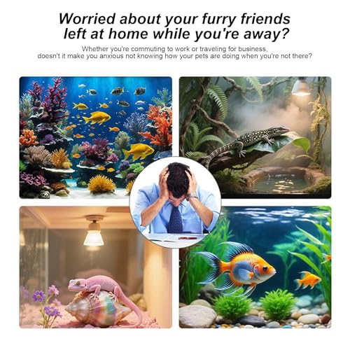 2K HD Aquarium & Terrarium WiFi Pet Camera for Fish Tank, Reptile Enclosure Monitoring with 140° Wide View, Anti-Glare, Night Vision & Two-Way Audio, 24/7 Recording with 128G Memory Card (No Card) - color: No card