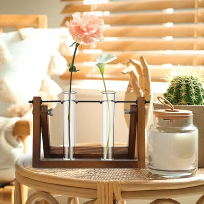 4Pcs Hydroponic Glass Test Tube Vases for Flower Propagation Small Plant Terrarium Holders Space-Saving 5.90X1.18X1.18In Home Office Decoration