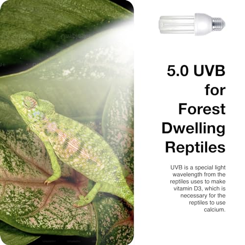 MRREPTILE UVB Reptile Light, 13W 5.0 UVB Bulb Light for Reptiles, UVA UVB Reptile Light, Tropical Reptiles UVB Lamp, Snake Chameleon Lizard Aquatic Turtle UVB Light - style: UVB5.0 13W