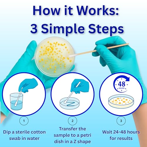 Evviva Sciences Water Bacteria Test Kit – 10 Tests for Total Bacteria, coliforms & E. coli. Lab-Ready agar Plates for Well, tap, Pool, & City Water. Fast DIY Results + Optional lab Report.