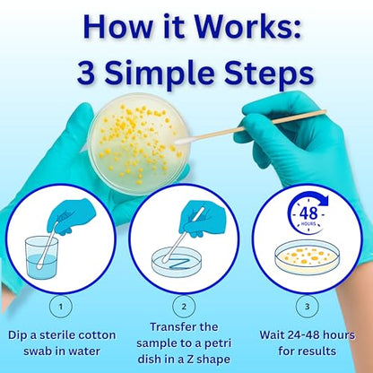 Evviva Sciences Water Bacteria Test Kit – 10 Tests for Total Bacteria, coliforms & E. coli. Lab-Ready agar Plates for Well, tap, Pool, & City Water. Fast DIY Results + Optional lab Report.