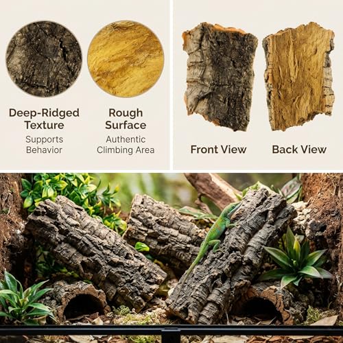 7PCS Cork Bark for Reptiles, Habitat Decoration Set, Reptile Terrarium Climbing Accessories, Five Small and Two Medium Champagne Cork Bark Hide