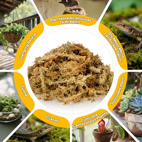 RAINFLOW Sphagnum Moss for Reptiles - 5.6 OZ Reptile Peat Moss for Terrarium Bedding Reptiles Snake Substrate for Reptile Tank, Snake, Leopard Gecko, Ball Python, Crested Gecko, Turtle, Frog, Hamster