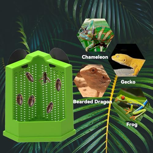 Bearded Dragon Feeder Chameleon Feeder for Mounted Insect (Medium) | Plastic,Anti-Escape,Corner,Crested Gecko Tank Accessories,with Rope Suction Cup and Tweezers,for Lizard Gecko Frog