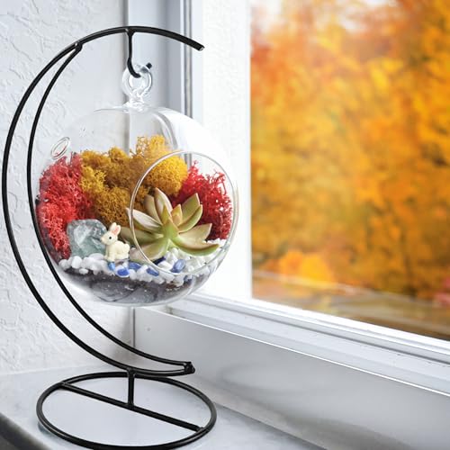 Creations by Nathalie - 5" Glass Globe Succulent Terrarium Kit, Hanging DIY Starter Kit for Kids and Adult, Metal Stand, Reindeer Moss, Crystal & Rocks, Tools, Figurine (Live Plant Included) - color: Globe Glass