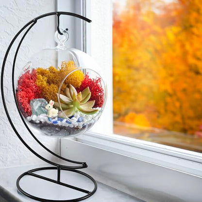 Creations by Nathalie - 5" Glass Globe Succulent Terrarium Kit, Hanging DIY Starter Kit for Kids and Adult, Metal Stand, Reindeer Moss, Crystal & Rocks, Tools, Figurine (Live Plant Included) - color: Globe Glass