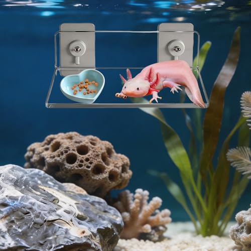 Axolotl Hammock Ledge for Aquarium, Axolotl Feeding Shelf with Feeder Bowl, Ceramic Heart Shape Feeding Dish, Tank Accessories for Bearded Dragons, Geckos, Lizards