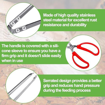 Vodolo Snake Feeding Tongs,2PCS 15 Inch Reptile Feeding Tongs,Extra Long Large Tweezers for Corn Ball Python Accessories,Bearded Dragon Reptile Gecko Tank Accessories Terrarium Supplies - size: 2PCS