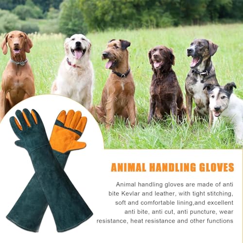 suade Gauntlet Protectors - Animal Handling Gloves, High Temperature Oven Grill Stove Shield, Cut Resistant Accessory Case - color: C