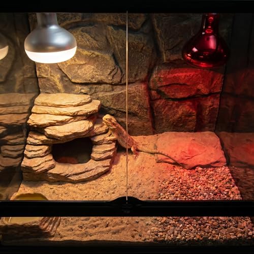 2Pack 100W Reptile Heat Lamp, Day & Night Basking Lamp Combo | UVA Daylight Heat Bulb & Infrared Red Night Heating Light, Terrarium Heat Lamps for Reptiles, Bearded Dragon, Lizard, Chicken