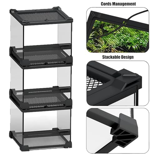 Woyrise Reptile Glass Terrarium Tank 8"x8"x5.7", Front & Top Opening Door Full View Visually Appealing Mini Reptiles or Amphibians Habitat, Stackable Enclousure for Small Reptiles