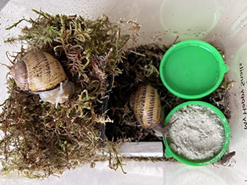Food for Land Snails - Small Pack 3.5 Oz (100 Grams) - with Organic Calcium, Vitamins, and Minerals. Great for Giant African Land Snails, Helix Pomatia, Aspersa, Muller Other Garden Snails