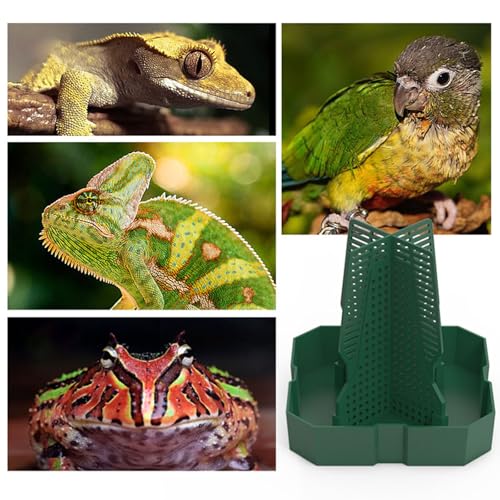 Escape Reptiles Feeding Bowl for Lizards Bearded Dragons Geckoses Frogs Window Easy to Clean - color: Reddish Brown, size: Large