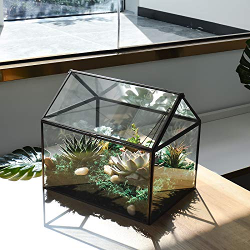 Large Glass Plant Terrarium – House Succulent Glass Terrarium Kit with Lip Glass Greenhouse Terrarium for Plant 12.26X9.15X10.9inch (Black 2)