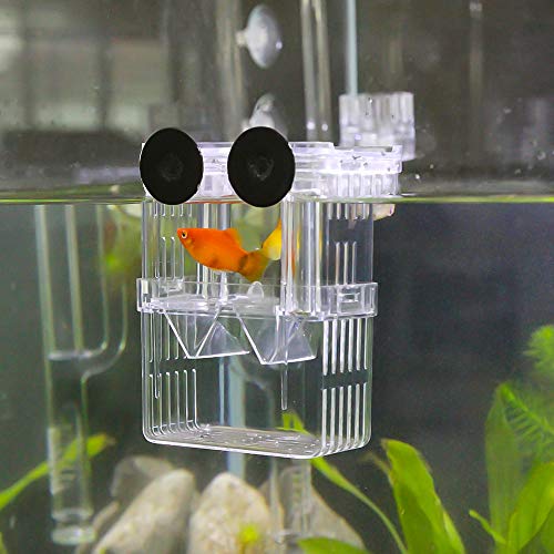 Aquarium Fish Breeder Box Plastic Fish Isolation Breeding Box Hatching Incubator Box for Baby Fishes Shrimp Clownfish Guppy - size: Medium