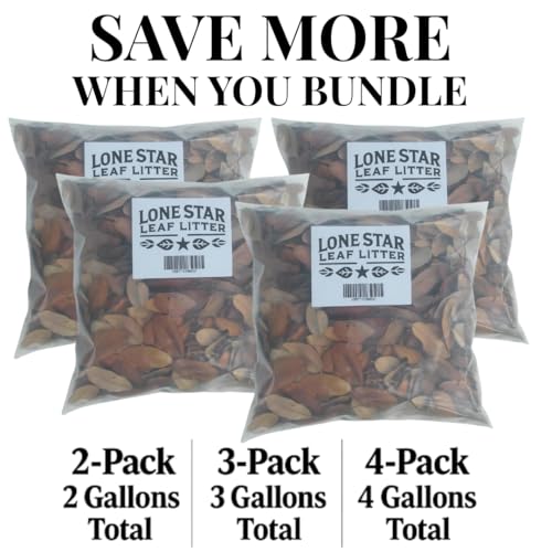 Texas Live Oak Leaf Litter for Reptiles, Bioactive Substrate, Leaf Litter for Isopods, Natural Habitat Enrichment, Terrariums and Vivariums, (1 Gallon) - size: 1 gallon - standard