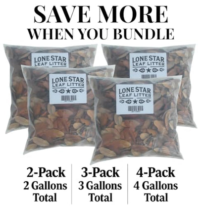 Texas Live Oak Leaf Litter for Reptiles, Bioactive Substrate, Leaf Litter for Isopods, Natural Habitat Enrichment, Terrariums and Vivariums, (1 Gallon) - size: 1 gallon - standard