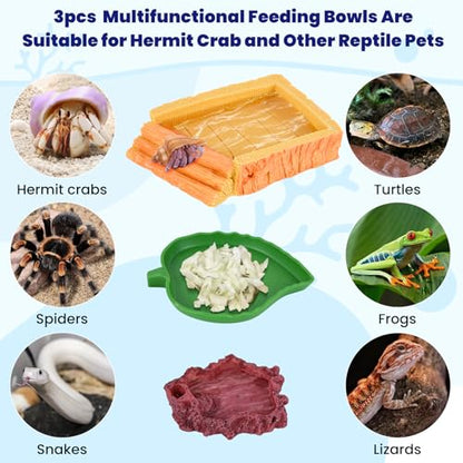 5 Pack Hermit Crab Water Pool Hermit Crab Food Bowl Dish Reptile Terrarium Water Bowls Reptile Starter Kits Accessories for Hermit Crab Leopard Gecko Frog Spider Lizard Turtle Bearded Dragon etc