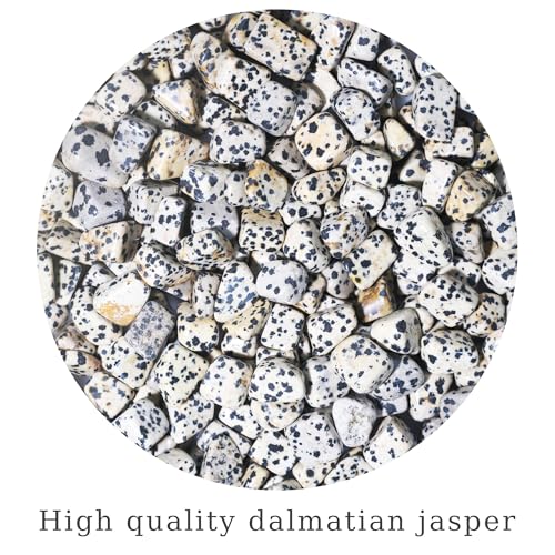 Dalmatian Jasper Chips Bulk 1lb, 600+ Pieces, 0.4-0.9in Natural Stones - color: Dalmatian Jasper, size: 1LB