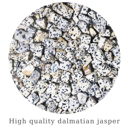 Dalmatian Jasper Chips Bulk 1lb, 600+ Pieces, 0.4-0.9in Natural Stones - color: Dalmatian Jasper, size: 1LB