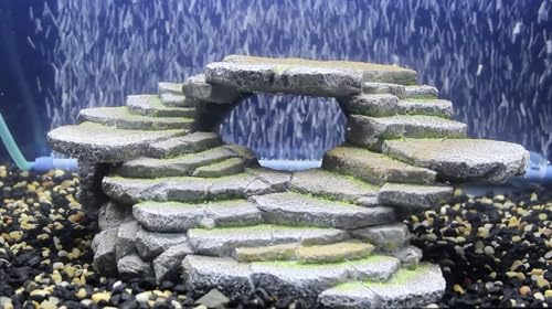 PENN-PLAX Reptology Shale Scape Step Ledge & Cave Hideout – Basking Area - Decorative Resin for Aquariums & Terrariums – Great for Reptiles, Amphibians, and Fish – Medium - size: Medium