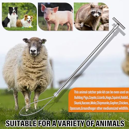 Dog Catcher Pole, Animal Catch Control Tool with Flashlight Non-Slip Tape | Animal Control Pole Stainless Steel Pig Hog Holder Heavy Duty for Dogs, Pig, Fox, Coyote Bulldog Wolf Goat Gator