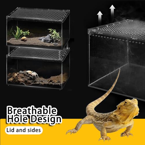 Insect breeding Box Reptile Feeding Box, Waterproof Enclosure Enclosure for arboreal Tarantula Scorpion Sling Lizards Snake Gecko Jumping Spider Snail Isopods, Reptile breeding Box (8x6x4 Inch) ﻿