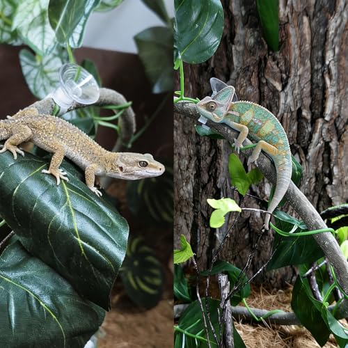 5Pcs Reptile Vines for Terrarium 13FT Flexible Jungle Climbing Vine Branch for Bearded Dragon Plastic Plants and Leaves Tank Accessories Decor for Gecko Lizard Snake Chameleon Hermit Crab Frog