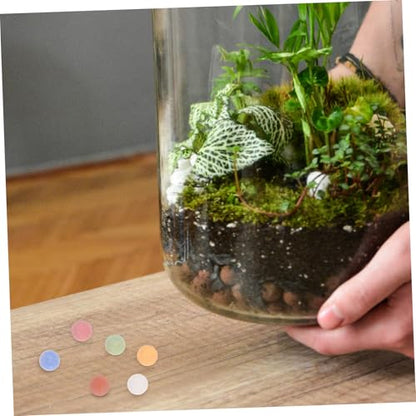 Kisangel Decorative Rocks for Planters Clay Pebbles for Hydroponics for Pot Fillers and Indoor Plant Decor