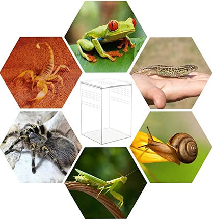 AWXZOM Magnetic Acrylic Case, micro habitat small Tarantula Enclosure enclosure for arboreal Tarantula Scorpion Sling Lizards Mantis Snake Gecko jumping spider snail Insect Isopods (4.7*4.7*7.8 inch) - size: 4.7*4.7*7.8 inch